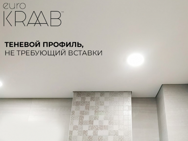 Натяжной потолок в гостиную